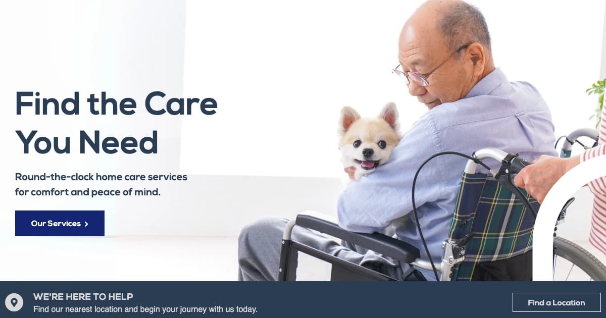 Allfor Care homepage screenshot (allforcare.co.uk): “Find the Care You Need” headline, Our Services button and an older man in a wheelchair holding a small dog